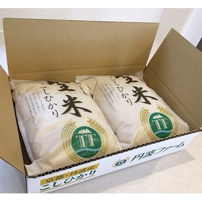 【令和7年産】京都府産コシヒカリ　聖米(白米)5kg×2袋【1089658】