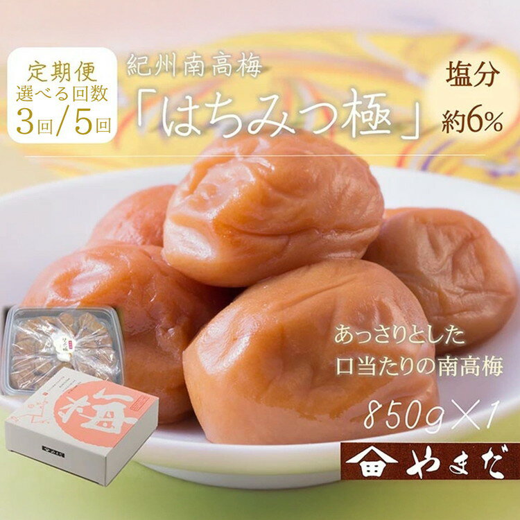 【ふるさと納税】＼選べる配送回数／【定期便】紀州南高梅はちみつ極塩分約6％（850g）