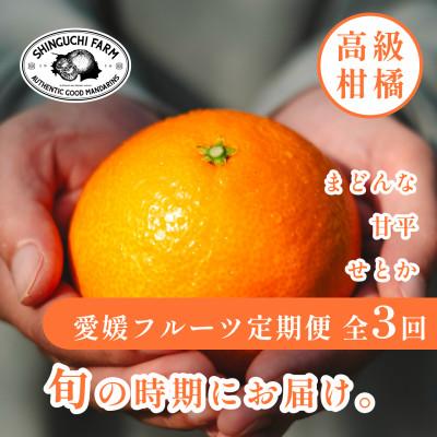 ふるさと納税 八幡浜市 【発送月固定定期便】愛媛の人気高級フルーツ まどんな・甘平・せとか【H70-42】全3回