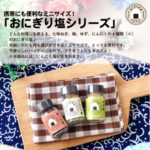 J49_01　ハッピーキャンプ炊き込みご飯と塩引き鮭とにんにく塩セット【 キャンプ アウトドア 炊き込みご飯 米 塩引き鮭 にんにく 保存食 備蓄食 防災 セキカワカナモノ 】