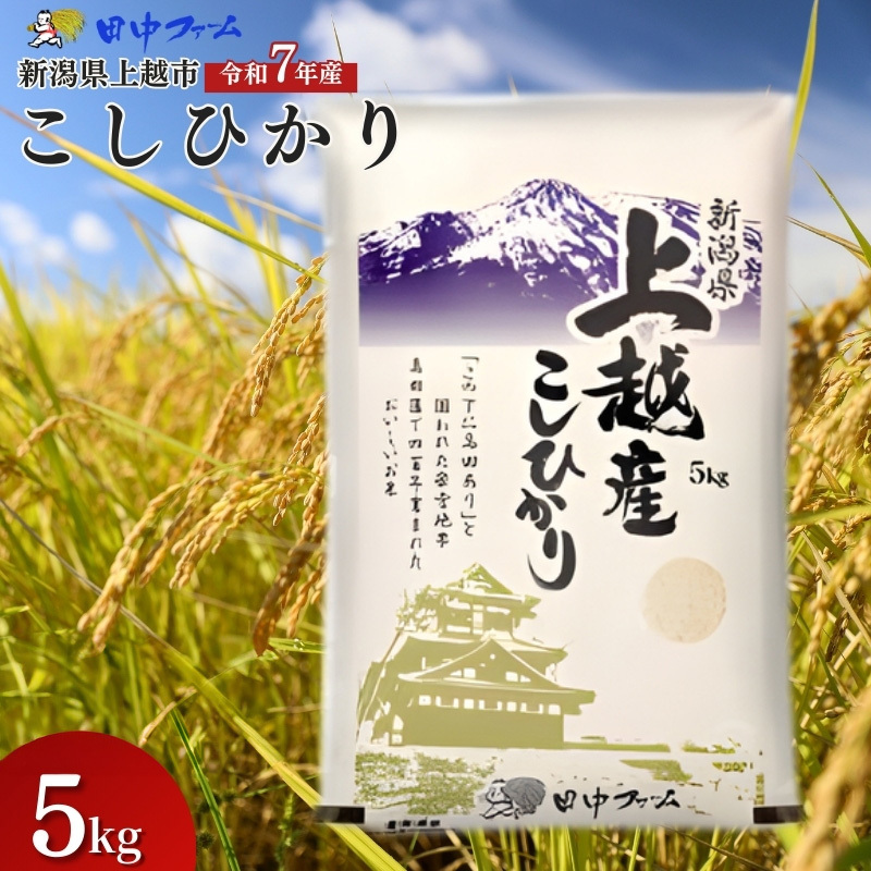 上越市産 新潟 コシヒカリ　5kg 上越市 精米 米 コメ こしひかり ブランド米