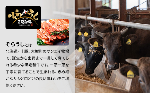 「天駆和牛(そらうし)」肩ロース 焼肉 300g A5 黒毛和牛 北海道十勝大樹町産【配送不可地域：離島】【1722184】