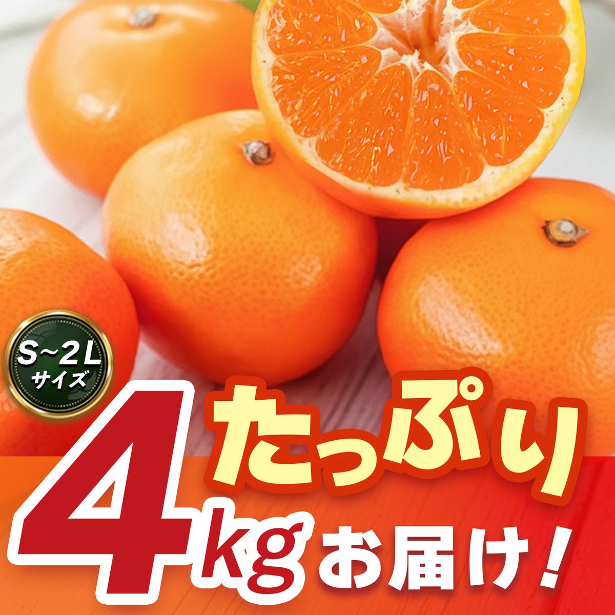 【2026年10月上旬より発送開始】佐賀美人(みかん) 4kg S～2Lサイズ【みかん ブランドみかん 柑橘 酸味 フルーツ デザート】(H116142)