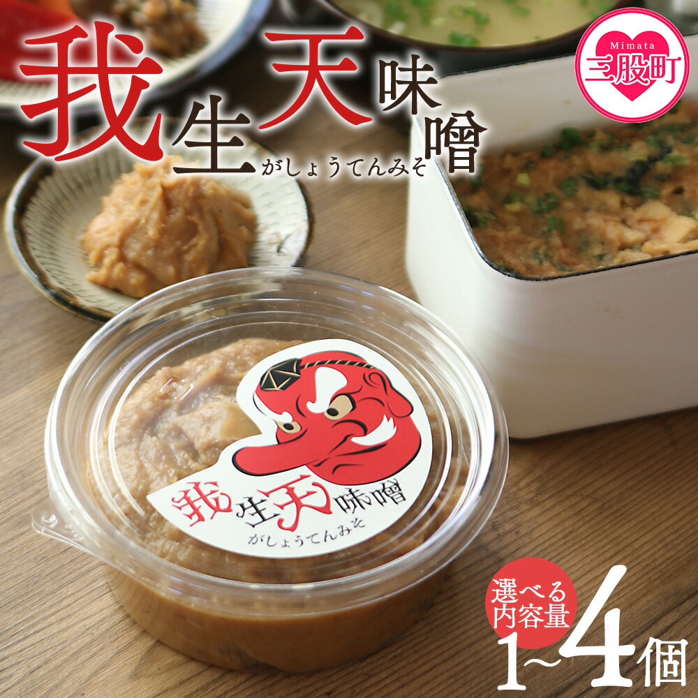 【ふるさと納税】＜我生天味噌 1〜4個＞300g 選べる 内容量 個数 みそ ミソ 調味料 酵母 どぶろく味噌 ドブロク 米 料理 お味噌汁 パック 発酵食品 まろやか マイルド 風味 旨味 加工食品 和食 和 麹 こうじ アレンジ味噌 こだわり 麦みそ【MI576-gs】【我生庵】
