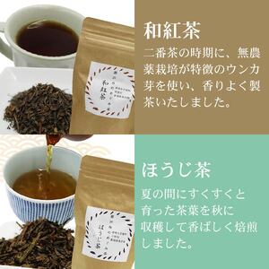 お茶 5種セット 茶葉 煎茶 静岡茶 お茶 お茶