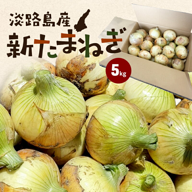 【ふるさと納税】淡路島産新たまねぎ 5kg 新玉ねぎ タマネギ 甘い 兵庫県 洲本市 淡路島 　お届け：2026年3月上旬～2026年5月下旬