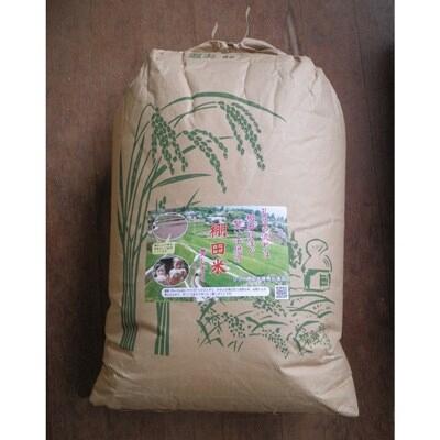 ふるさと納税 多久市 令和7年産　ひらの棚田米夢しずく(精米白米4.5kg+玄米5kg) |  | 03