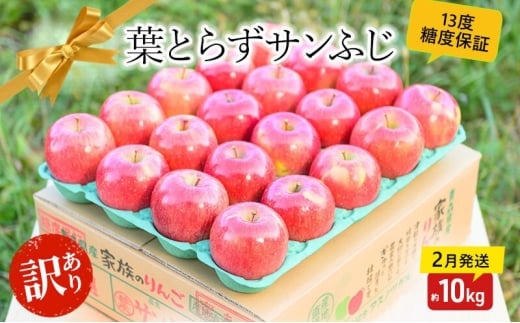 【 2月発送 】 糖度13度以上 訳あり品 家庭用 葉とらず サンふじ 約 10kg 【 青森りんご 】 果物 フルーツ デザート 食後 青森県産 産地直送