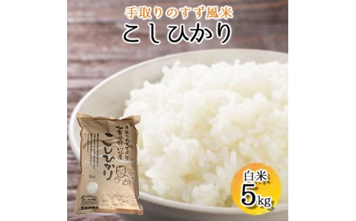 
                  【令和8年度産】手取りのすず風米こしひかり　白米5kg 
                