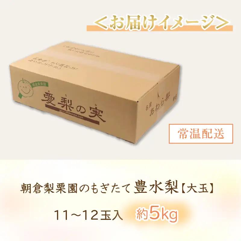 【先行予約】《数量限定》豊水梨【大玉】11～12玉入 約5kg もぎたて 新鮮 ／ 期間限定 果物 フルーツ 農家直送 お取り寄せ 豊水 梨 なし 福井県 あわら市 ※2026年9月上旬より順次発送予