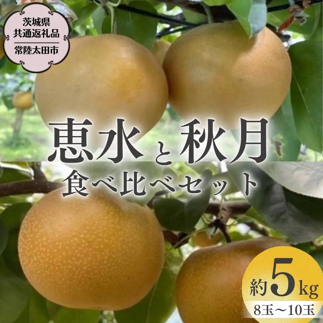 厳選 2種！恵水 と 秋月 の 食べ比べセット 約5kg 8玉～10玉 【 茨城県共通返礼品 ／ 常陸太田市 】 桧山果樹園 フルーツ 甘い 直送 茨城 限定 ギフト 梨 旬 贈答 果物 [DU020sa]