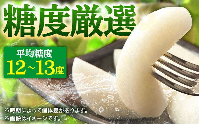 梨 なし 幸水 こうすい 果物 くだもの フルーツ ふるーつ 旬