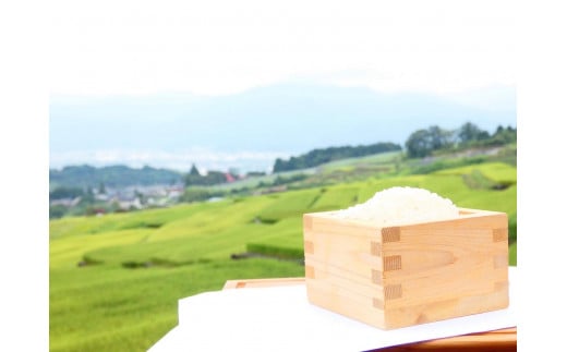 6-50 【うるち米2キロ】南アルプスの天然水で育てた棚田米