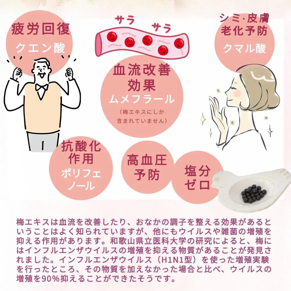 梅エキス(粒)  60g  約260粒 umyssho002A【umyssho002A】