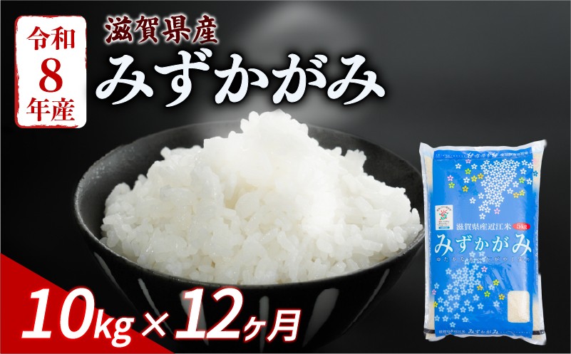 
                  【令和8年産】 新米 みずかがみ 10kg 12ヶ月定期便 令和8年産 米 白米 近江米 こめ ご飯 米 定期便 12回定期便 12か月定期便 12回 12か月 10キロ 令和8年 滋賀 彦根
                