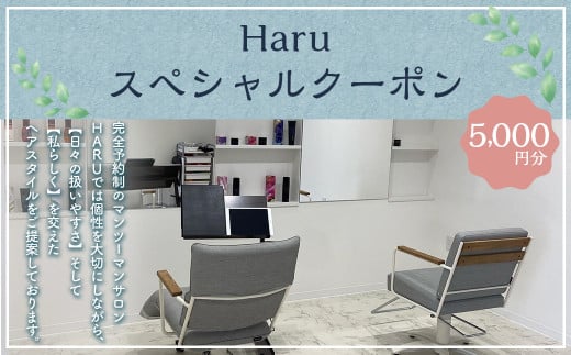 ＜Haruスペシャルクーポン 5,000円分＞翌月末迄に順次出荷【c1009_hu_x1】 利用券 クーポン 美容室 ヘアカット マンツーマンサロン