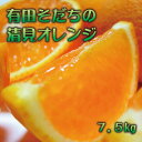 【ふるさと納税】 【2025年2月下旬～3月下旬順次発送予定】有田育ちの完熟清見オレンジ(ご家庭用) 約7.5kg