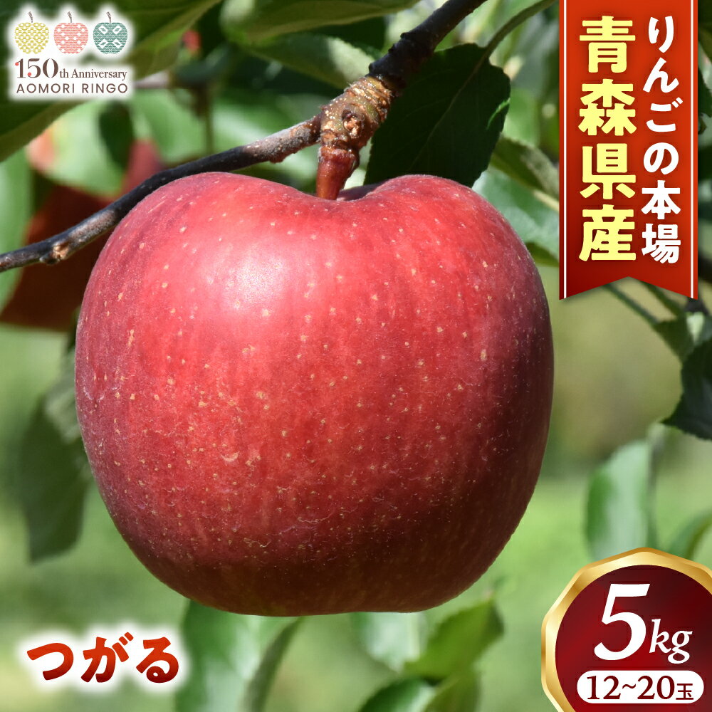 【ふるさと納税】りんご【つがる】約5kg（12〜20玉）【2025年産・先行予約】★2025年9月上旬〜9月下旬頃まで発送予定★りんご 林檎 リンゴ つがる 国産 フルーツ 果物 贈答 土産 青森県 三戸町 H2848