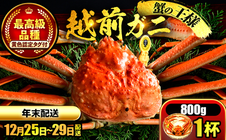 【先行予約/12月25日より順次発送】【年末希望】 越前がに 800ｇ×1杯 ズワイガニ ずわいがに ボイル 冷蔵 小浜市 / まるほ商店 【配送不可地域：北海道・沖縄・離島】[BFCS039]