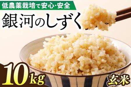 令和7年産 銀河のしずく 10kg (玄米) 低農薬栽培米 生産者直送 生産地域限定ブランド米 (EI018)
