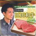 【ふるさと納税】厳選 江田和牛赤身ステーキセット1kg（ランプ：250g×2枚＆イチボ：250g×2枚） 希少部位 希少 国産 黒毛和牛 冷凍 ギフト 日本一のブランド牛「宮崎牛」 A5 赤身肉 牛肉 お肉 国産 九州産 送料無料 宮崎県 高原町 故郷納税 50000円 5万円