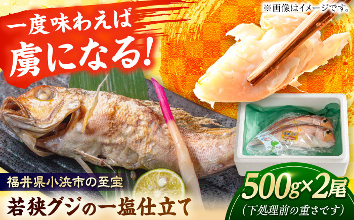 
若狭グジの一塩仕立て 500g×2尾
