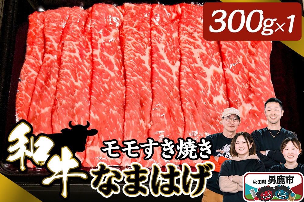 和牛なまはげ モモすきやき 300g 大進農場|23_dsf-040301