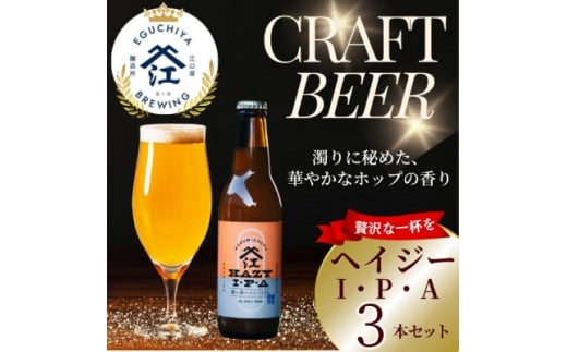 クラフトビール ヘイジーIPA 計990ml 3本セット【1650942】