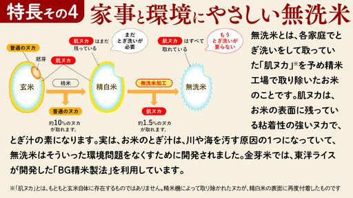 【 金芽米 ( 無洗米 ) 】 ＜6月下期出荷＞ つくばみらい市産 コシヒカリ 5kg × 2袋 ( 計 10kg )