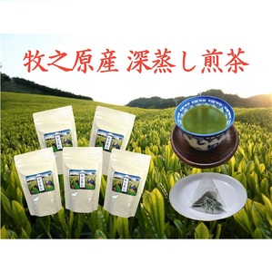 098-15 牧之原産 深蒸し茶 ティー バッグ 「富士美人」5袋 セット お茶 茶 旬 日常 のし 熨斗 贈答 ギフト 静岡県 牧之原市 澤田行平商店