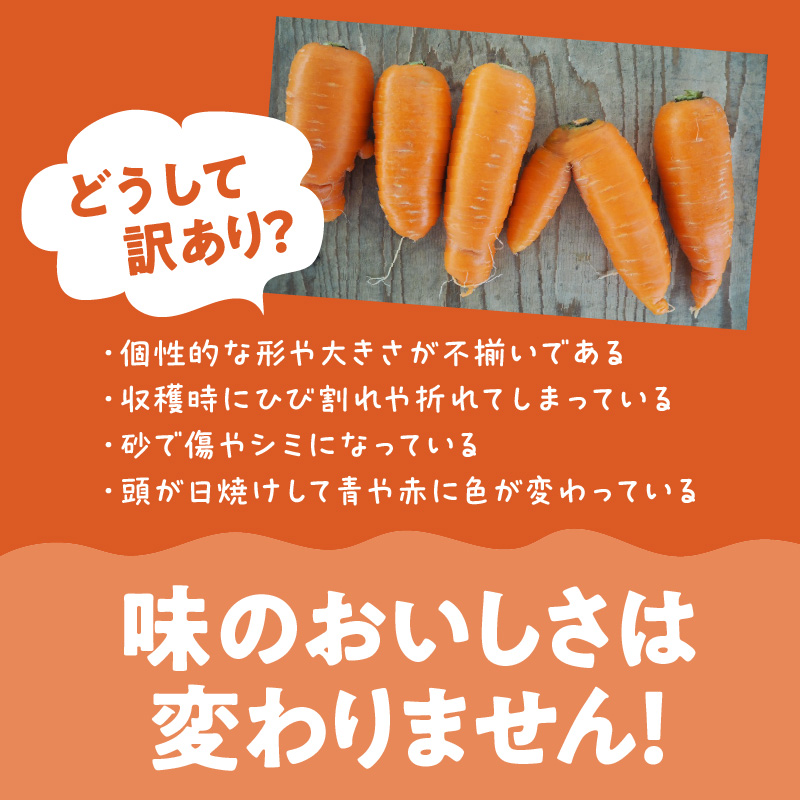 ＜フジテレビ『どっちのふるさと？』で紹介されました！＞ 訳あり 2回定期便 にんじん 1月2月お届け マドンナキャロット　H105-163