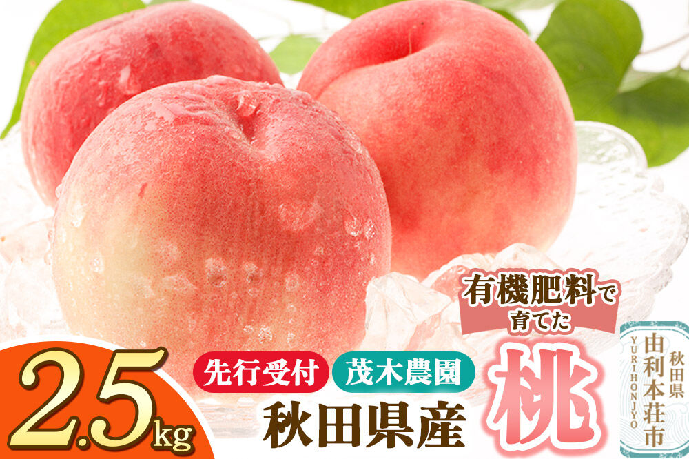 《先行受付》桃 2.5kg 茂木農園 秋田県産  [桃 もも モモ フルーツ 果物 スイーツ デザート 美味]