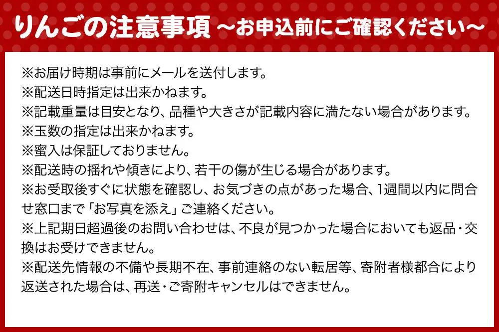 【26年11月発送】りんご 千雪 約3kg（8～12玉程度）家庭用 toki farm 林檎 アップル 果実 果物 美味