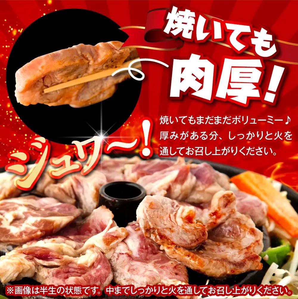 【定期便 3か月】焼肉ジンギスカンセット 計9袋 5.1kg
