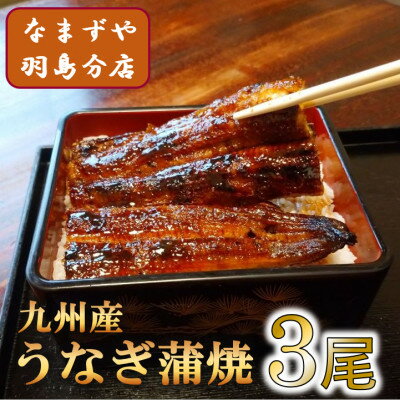 【ふるさと納税】【 予約受付中・2024年10月頃より順次発送 】九州産うなぎ蒲焼　3尾〈計約360g〉【配送不可地域：離島】【1533663】