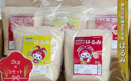 米 10kg 小分け はるみ  2kg × 5個 お米 おこめ【  おこめ  】