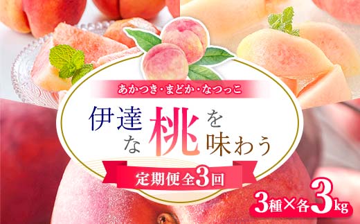 【2026年出荷分】福島県伊達市産 〈定期便3回〉 桃 3品種 各約3kg 株式会社大喜 伊達の桃 桃 フルーツ 果物 もも モモ momo F21C-521