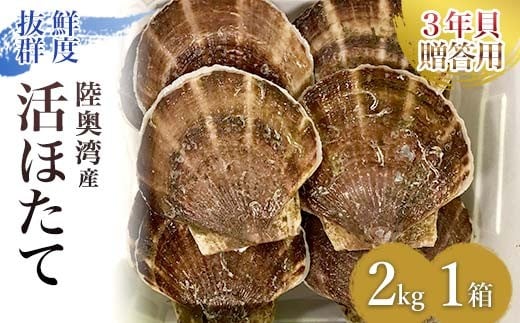 
            【贈答用】特大 活ホタテ (3年貝) 約2kg (8～10枚) 2kg 【平内町漁業協同組合】 ホタテ ほたて 帆立 活ホタテ 貝柱 殻付き ほたて広場 魚介 贈答 むつ湾 陸奥湾 漁協 青森 青森県 東北 平内町 F21J-293
          