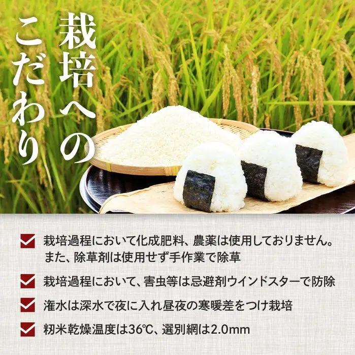 先行予約 令和8年産新米 ミルキークイーン 10kg（農薬・化学肥料不使用）