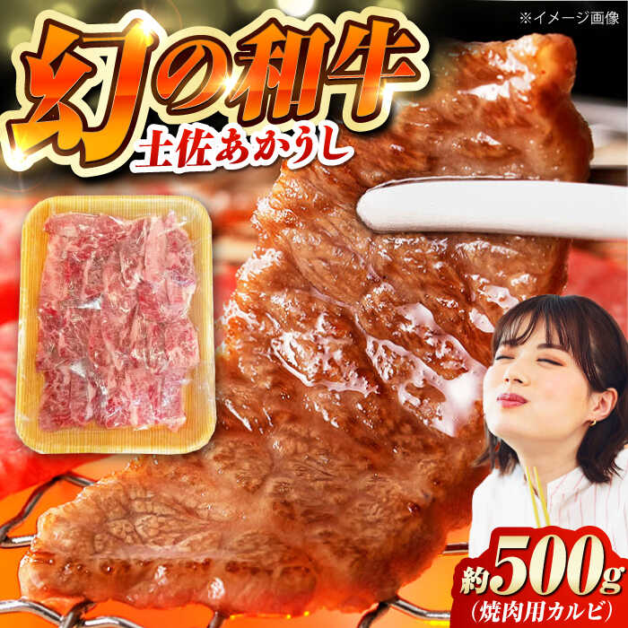 【ふるさと納税】【最速発送】土佐あかうし 焼き肉用カルビ 約500g /和牛 国産和牛 高知県産 高知市 焼肉【株式会社Dorago】[ATAM041]　スピード 最短 最速 発送