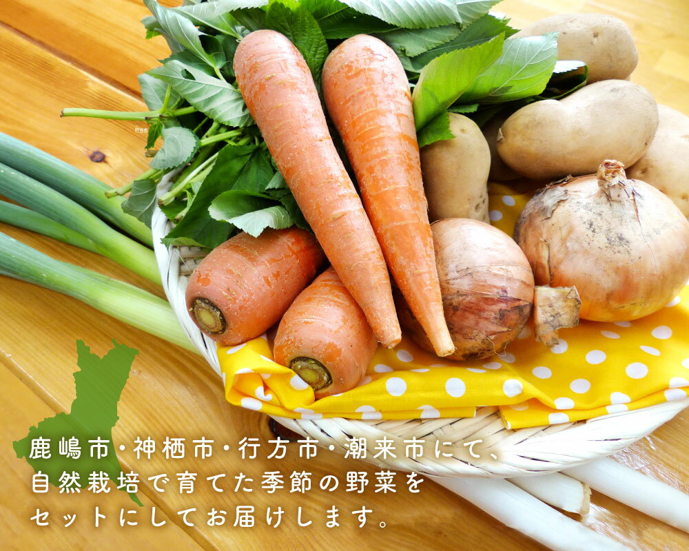 【ふるさと納税】【10ヵ月定期便】【栽培期間農薬不使用】季節の野菜ハーフセット（6～7品）【自然 健康 農薬 なし 美味しい 安全 やさい 10回 鹿嶋市】（KBE-18）