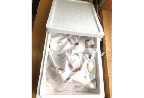 ［1363］【冷凍】土佐沖天然さばフグ切り身鍋用（500g×2袋）約1kg