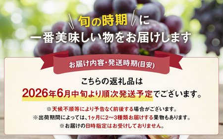 【先行受付】【6回定期便】 フルーツ王国 山梨県産 6種セット ／ えべし フルーツ 果物 くだもの 貴陽 すもも もも 桃 梨 なし ぶどう ブドウ 葡萄 シャインマスカット キウイ 新鮮 果実 産