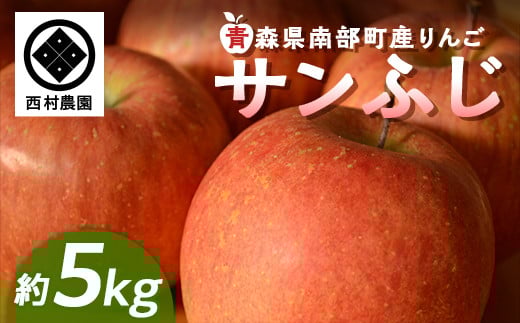 
            青森りんご サンふじ (大・中・小混合) 約5kg 【西村農園】 リンゴ 林檎 アップル あおもり 青森 青森県 南部町 三戸 南部 果物 くだもの フルーツ F21U-217
          