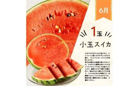 定期便【全3回/6・7・8月】かつらぎ町のフルーツ定期便（すいか・桃・梨）【tkb428】
