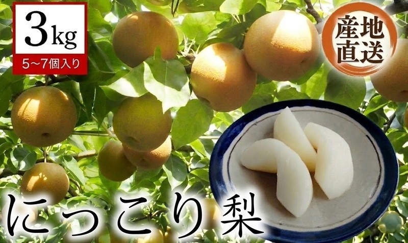 
                  【 産地直送 】 にっこり 3kg 先行予約 梨 なし ナシ [CZ004ci]
                