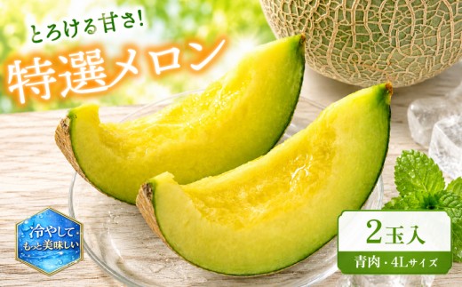 特選 メロン 青肉 2玉 4L 数量限定 果実 新鮮 くだもの めろん 品種おまかせ 青肉 ミラノ春Ⅱ 青肉メロン 品種 おまかせ フルーツ 果物 期間限定 フルーツ 季節限定 果物 産地直送 旬 果物 滋賀県 竜王町 ギフト 贈り物 プレゼント 送料無料 竜王 令和8年 甘い あまい おいしい メロン めろん 2026年