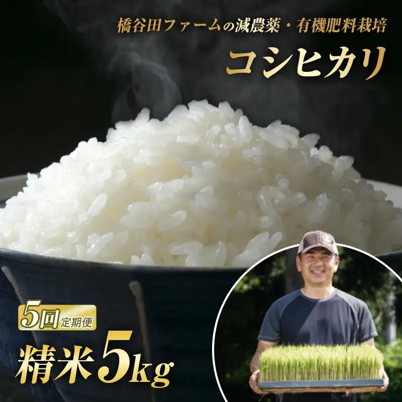 《定期便5ヶ月》 減農薬・有機肥料栽培 西会津産米コシヒカリ 精米 5kg 米 お米 おこめ ご飯 ごはん 福島県 西会津町 F4D-2475
