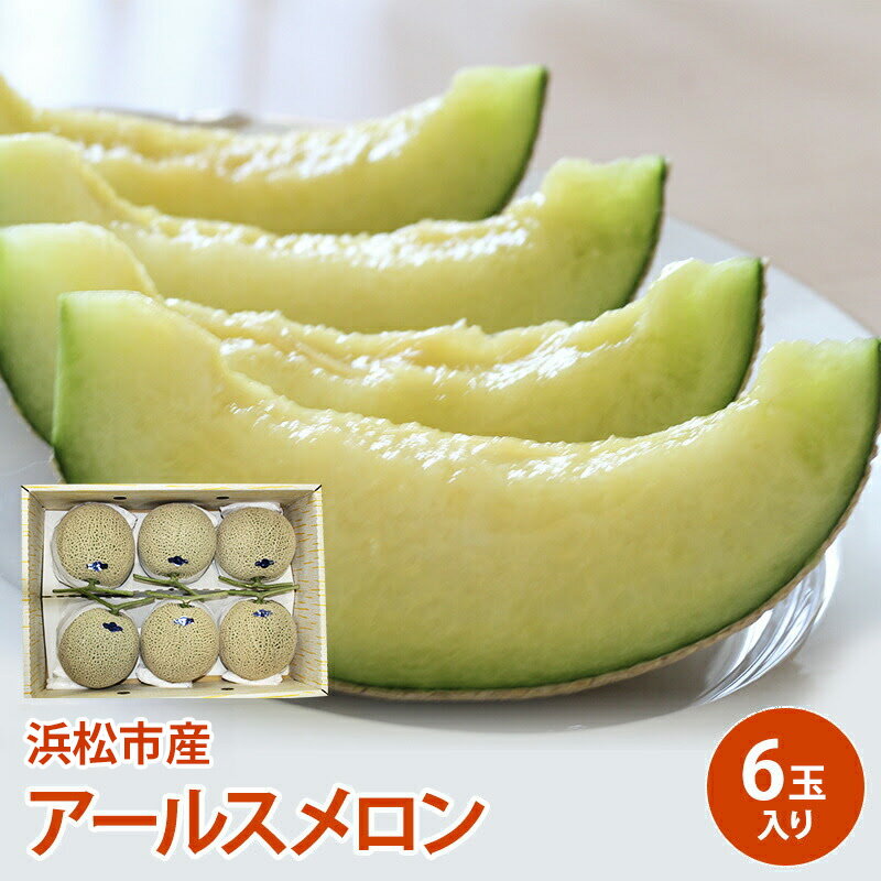 【ふるさと納税】【静岡県浜松市産】アールスメロン約1.5kg以上×6玉 白等級 【配送不可：離島】メロン melon フルーツ 果物 静岡 浜松市　お届け：2026年7月1日～2026年11月30日まで