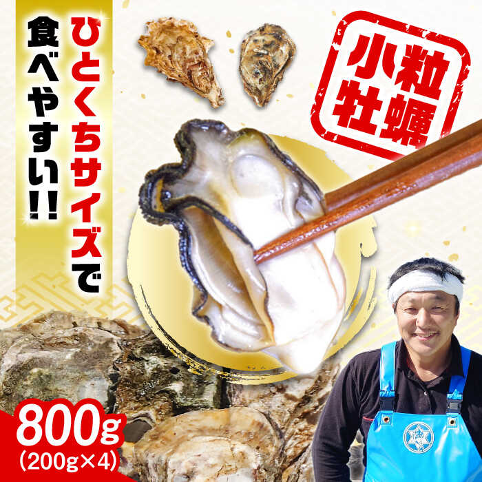 【ふるさと納税】【楽天限定】【選べる配送月・日】生牡蠣 小粒牡蠣『がきんちょ』(200g×4パック) (加熱用) 人気 かき カキ 料理 簡単 レシピ 和食 ギフト BBQ 広島県産 人気 送料無料 江田島市/株式会社門林水産 [XAO003] 牡蠣 むき身 殻付き かき カキ 楽天限定